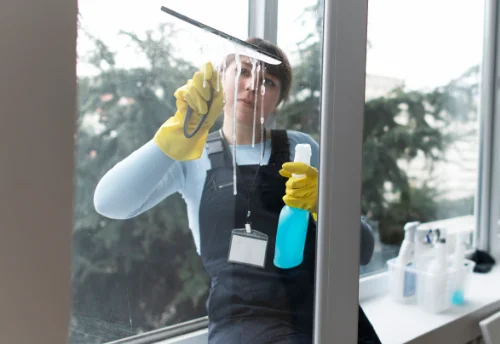 Nettoyage de vitres intérieures et extérieures à Rolampont